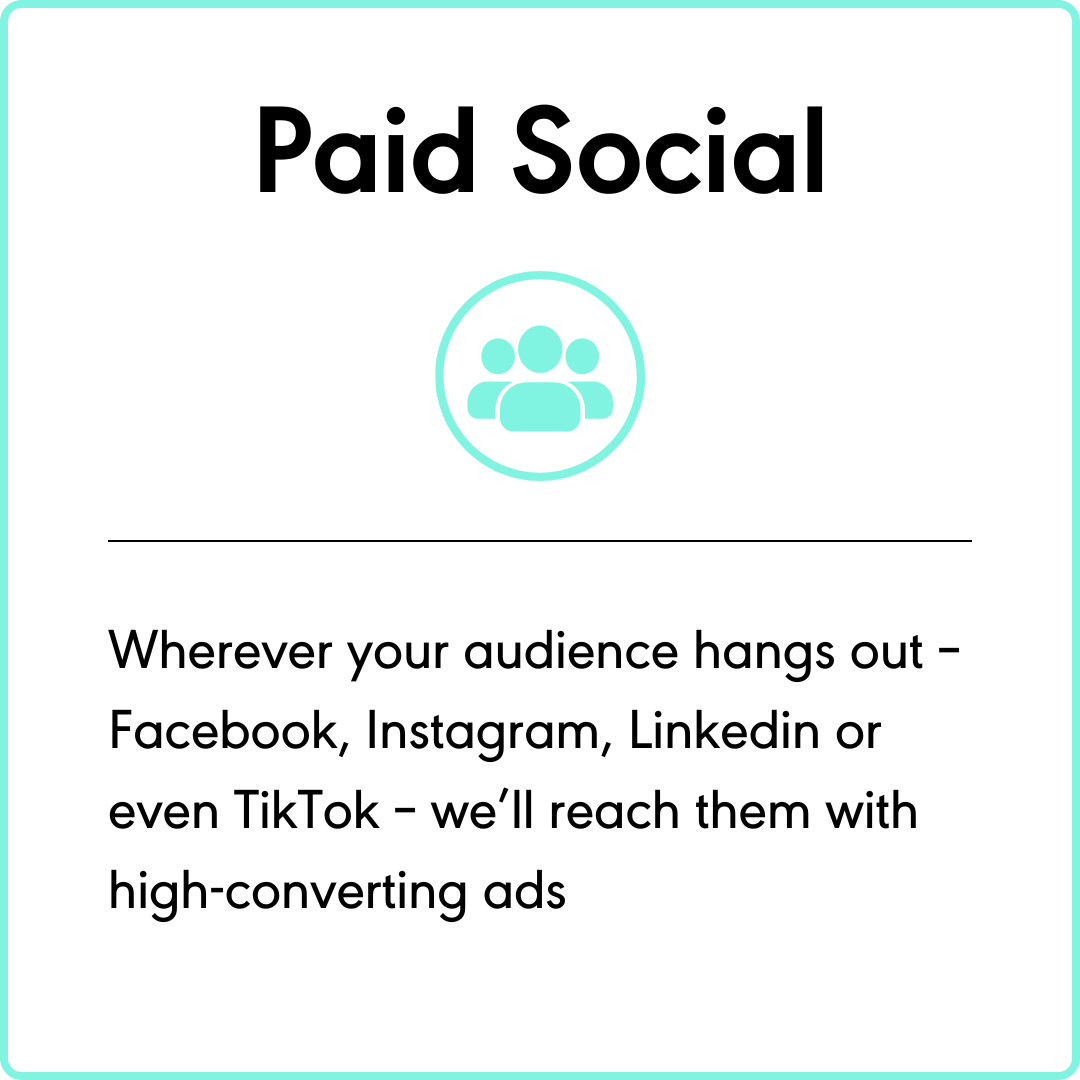 Paid Social - Wherever your audience hangs out – Facebook, Instagram, Linkedin or even TikTok – we’ll reach them with high-converting ads